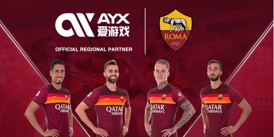 起了公众对